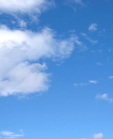 サッカー 野球 柔道 バレーボール バスケットボール ラグビー テニス 陸上 卓球 バドミントン 柔道 剣道